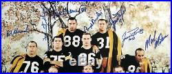 1962 GB PACKERS TEAM SIGNED 18x23 PHOTO THE HAYSTACK STARR HORNUNG PSA/DNA