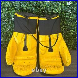 Green Bay Packers Boxing Gloves