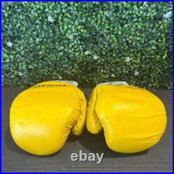 Green Bay Packers Boxing Gloves