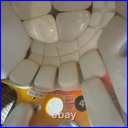 Green Bay Packers Brett Favre game issued/used helmet autographed Woodson Other