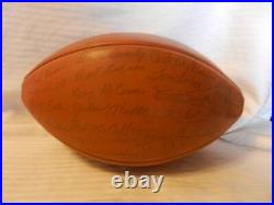 Green Bay Packers Printed Team Signatures Wilson Football From 1970s Starr, More