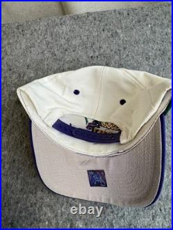 Logo 7 Super Bowl XXXI Sharktooth Green Bay Packers Hat 1996