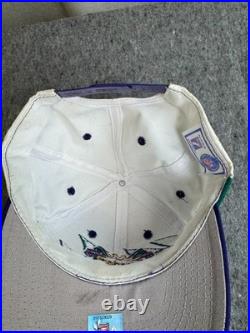 Logo 7 Super Bowl XXXI Sharktooth Green Bay Packers Hat 1996