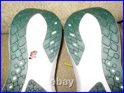 NFL Green Bay Packers NIKE AIR ZOOM PEGASUS 41 FZ5090-300 Men Shoes 12M (no box) NFL Green Bay Packers NIKE AIR ZOOM PEGASUS 41 FZ5090-300 Men Shoes 12M (no box)