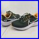 Nike_Zoom_Pegasus_39_Green_Bay_Packers_Men_s_Size_6_Green_Gold_DR2044_300_01_fg