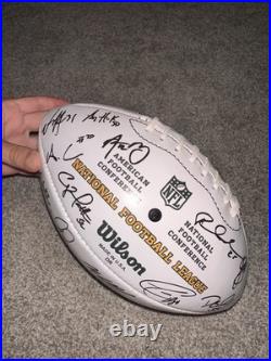 RARE 2011 Green Bay Packers Super Bowl Wilson Made In USA Balls Facsimile Sigs