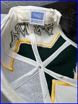 Vintage 90s Green Bay Packers Thunder Bolt Wool Snapback Hat Drew Pearson DS