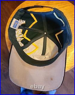 Vintage Green Bay Packers Reverse Thunder Bolt Wool Snapback Hat Drew Pearson